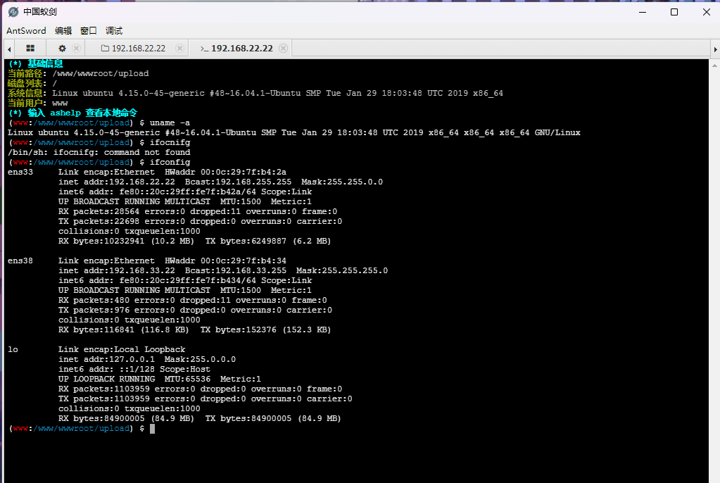 image-20231019173339497