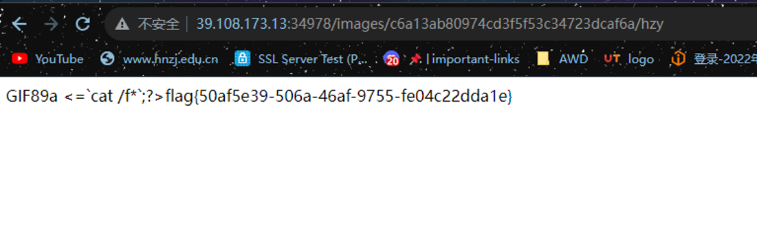 image-20231209173231340