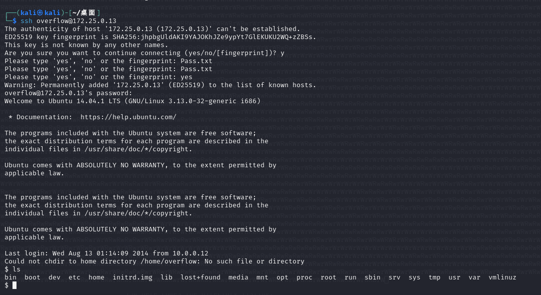 image-20240213193925856