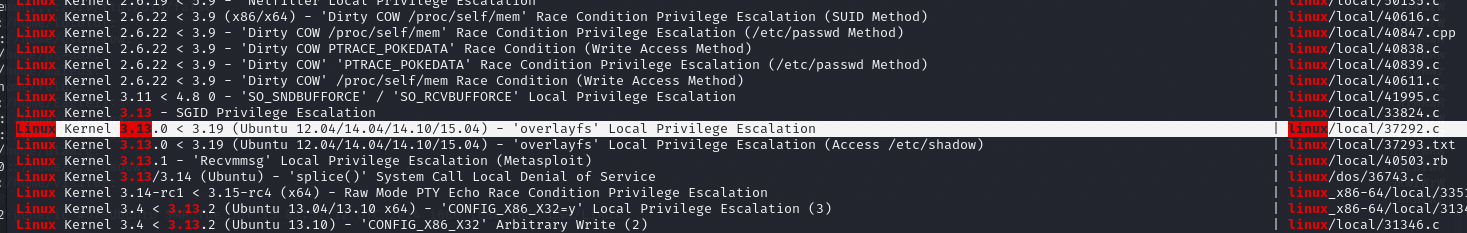 image-20240213194317394