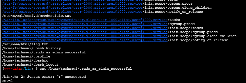 image-20240218132642399
