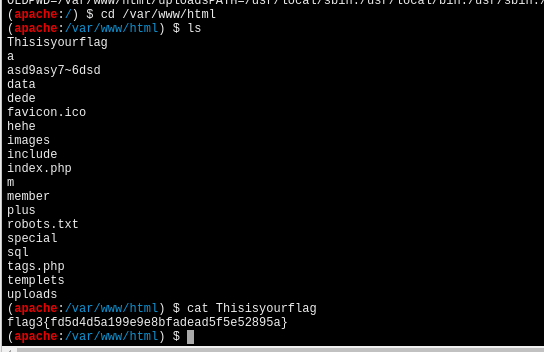image-20240219105549914