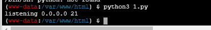 image-20240222221440035