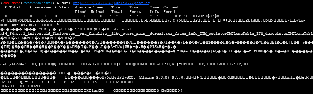 image-20240222222149988