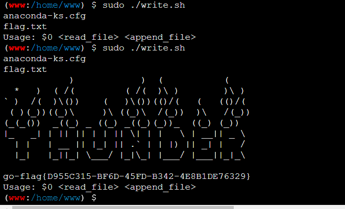 image-20250204175414374